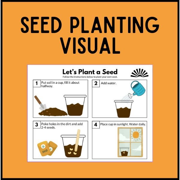 Seed Planting Visual 24